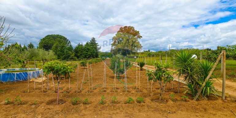 20230504192656-754368-6