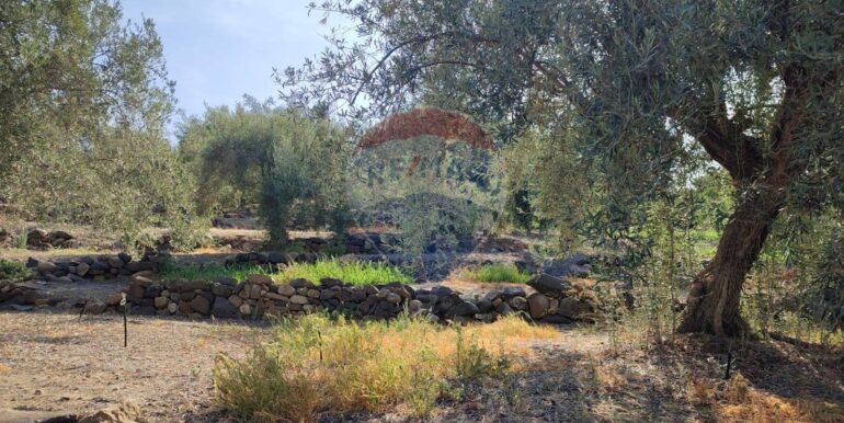 20240828234634-882961-6