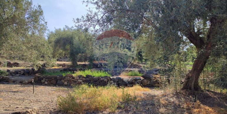 20240828234713-882961-26