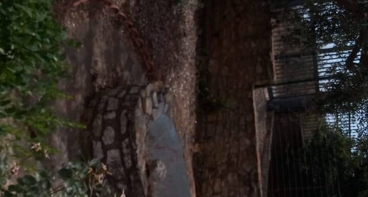 20240909124900-887055-12