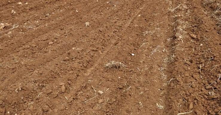 20240912101550-887797-1