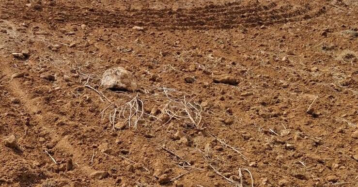 20240912101603-887797-11