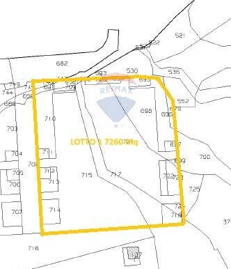 20241021164700-897494-13