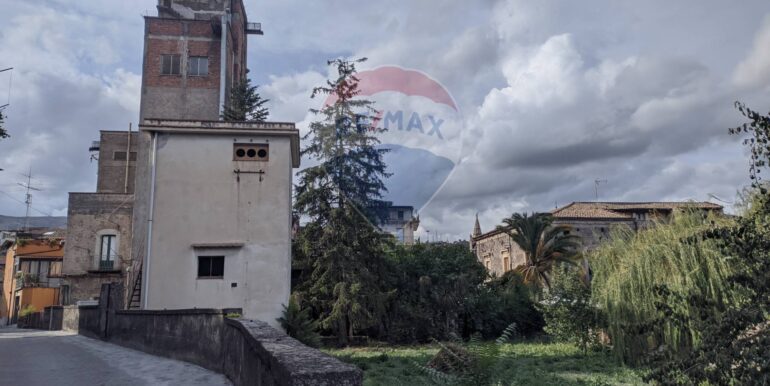 2024111882946-895411-21