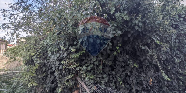 2024111882948-895411-22