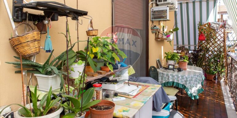 20241230105231-914800-33