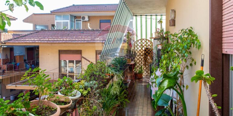 20241230105238-914800-36