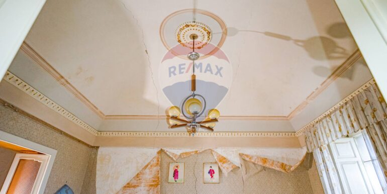 20250113123323-919196-4