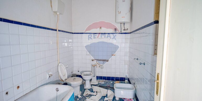 20250113123324-919196-8