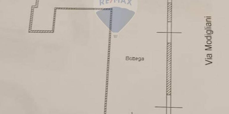 20250114102801-919340-6