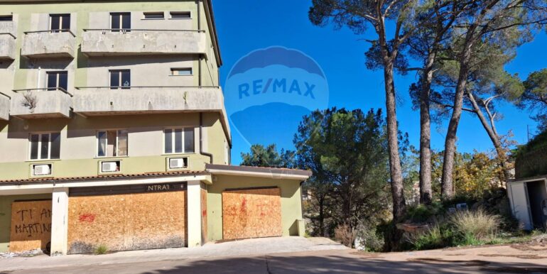 20250118110514-920031-2