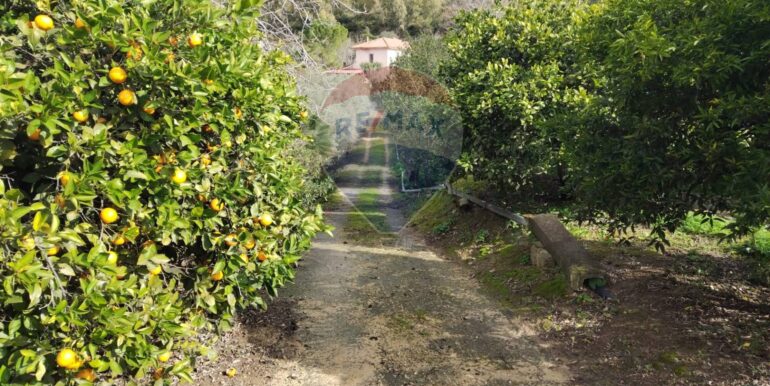 20250119200232-920519-3