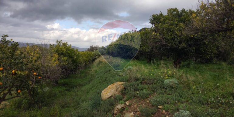 20250119200245-920519-7