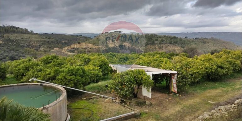 20250119200250-920519-9