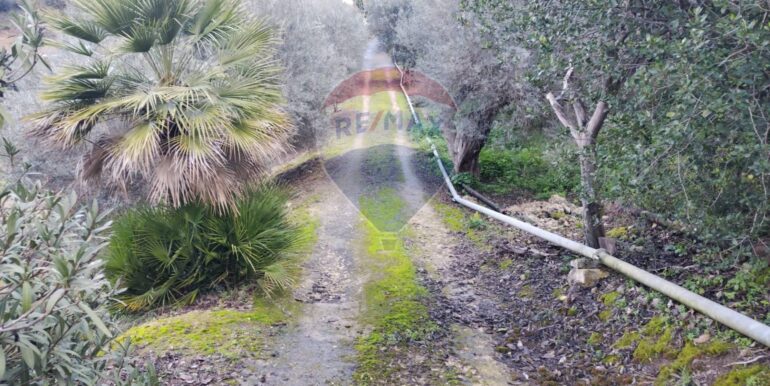 20250119200734-920519-28