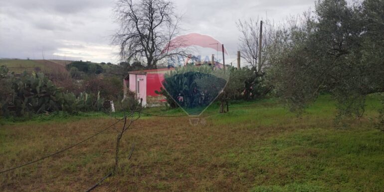 20250119202910-910718-11