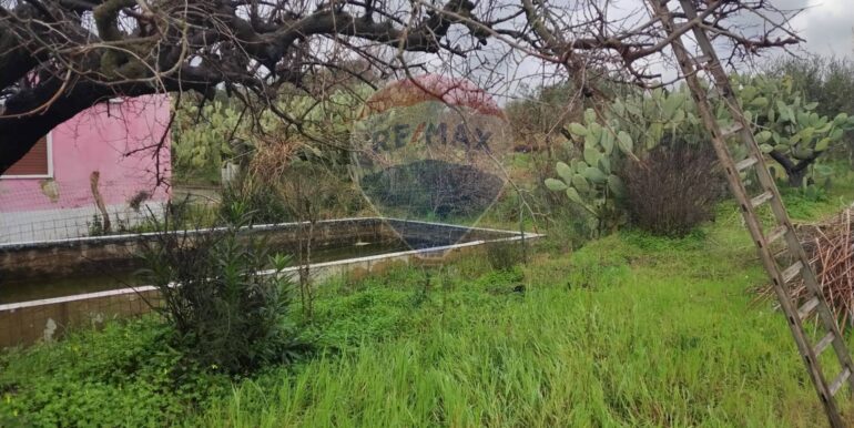 20250119202916-910718-13