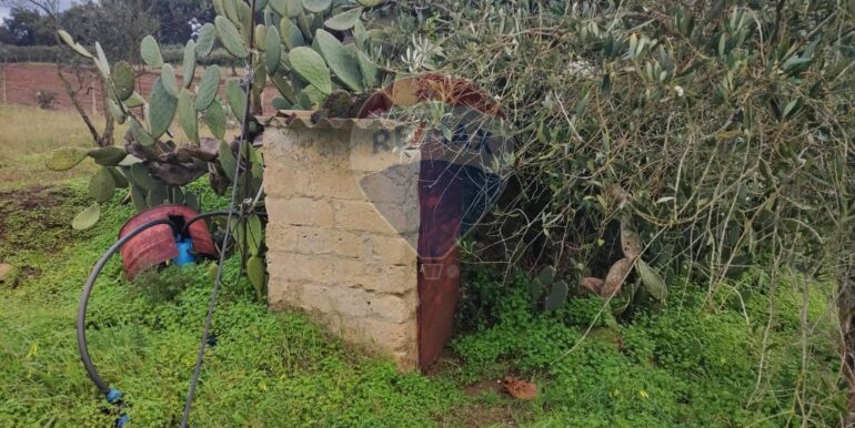 20250119202919-910718-14