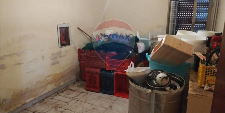 20250119202929-910718-19