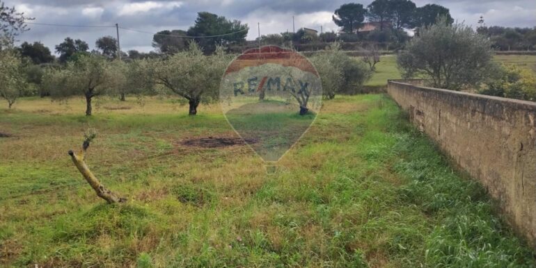 20250119202931-910718-20