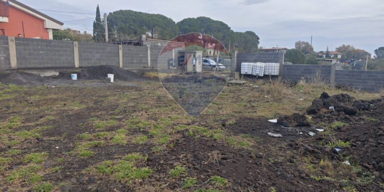 20250121170302-921039-3