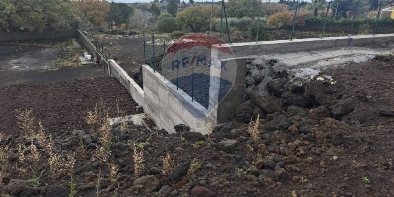 20250121170304-921039-4