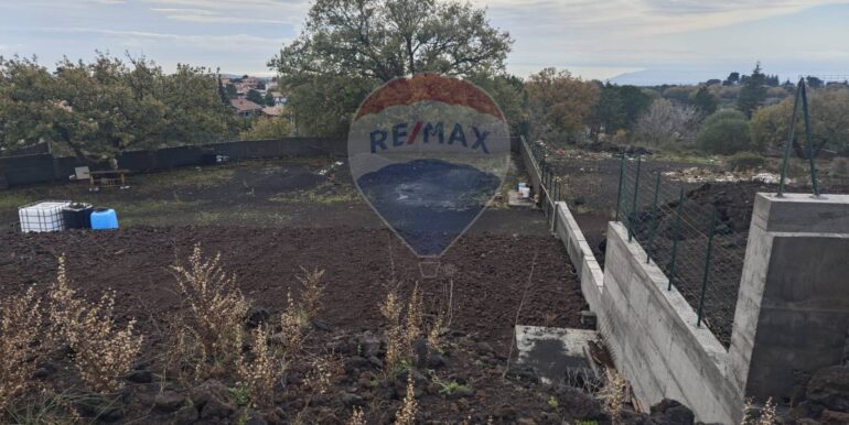 20250121170307-921039-5