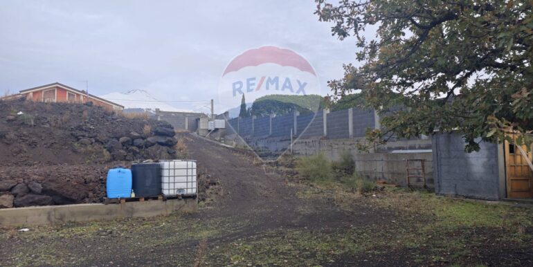 20250121170309-921039-6