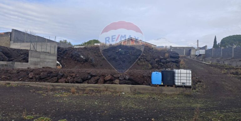 20250121170313-921039-8