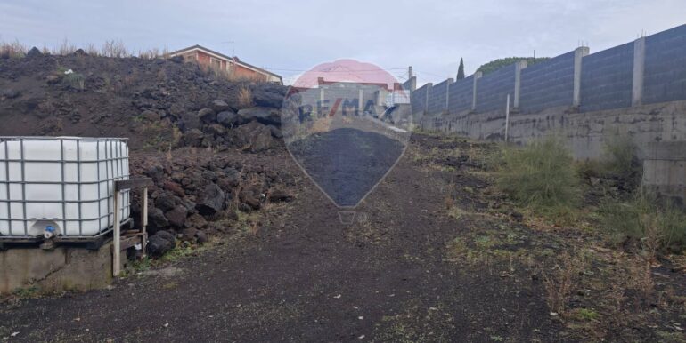 20250121170315-921039-9