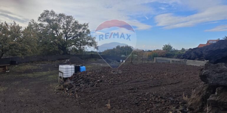 20250121170319-921039-11