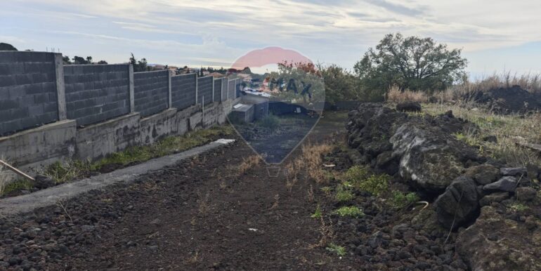 20250121170321-921039-12