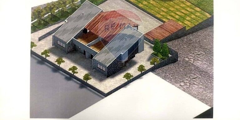 20250121172935-921039-13