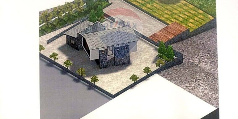 20250121172941-921039-19