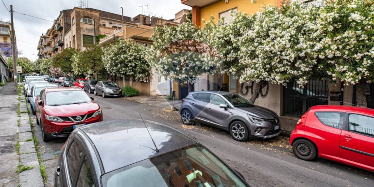 20250124160854-922149-17