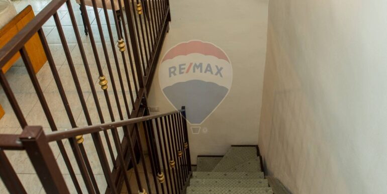 20250129103726-923043-9