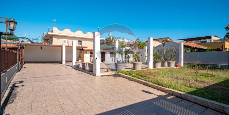 20250203175033-924755-3