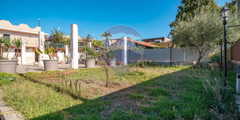 20250203175033-924755-5