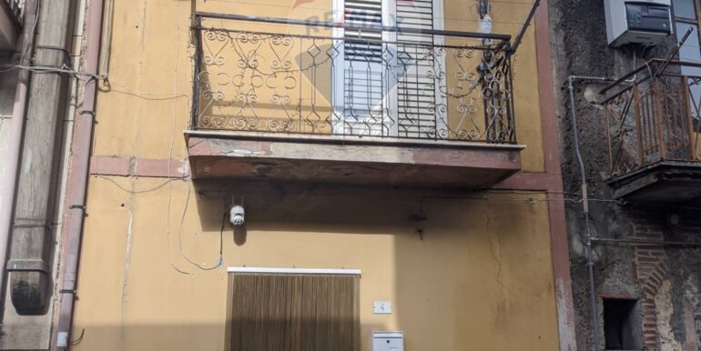 20250204131743-926783-2