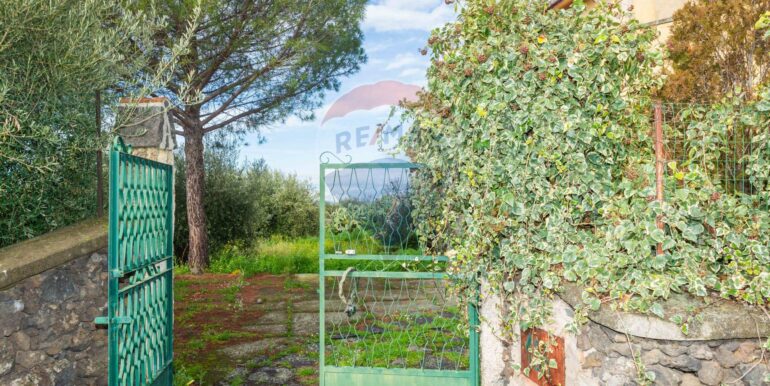 20250206184049-927893-2