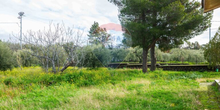 20250206184057-927893-4