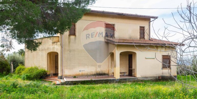 20250206184101-927893-5