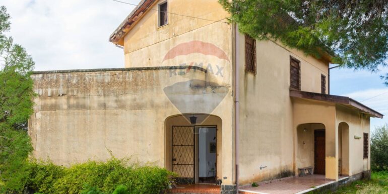 20250206184105-927893-6