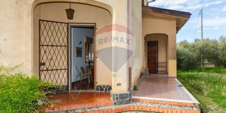 20250206184109-927893-7