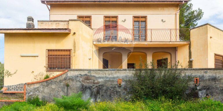 20250206184124-927893-12