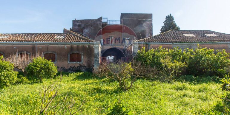 20250206233542-922899-4