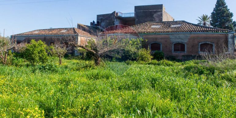 20250206233554-922899-7