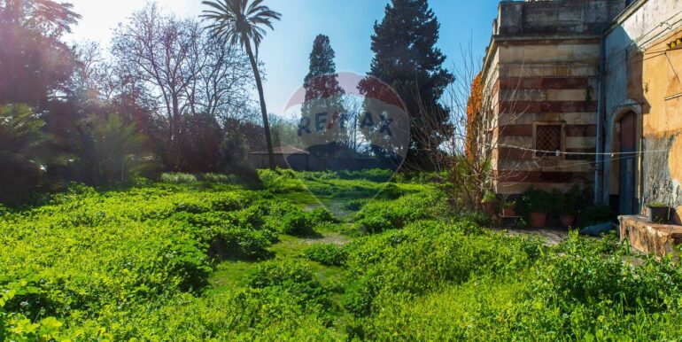 20250206233602-922899-9