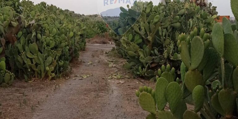 2025020892343-926837-1