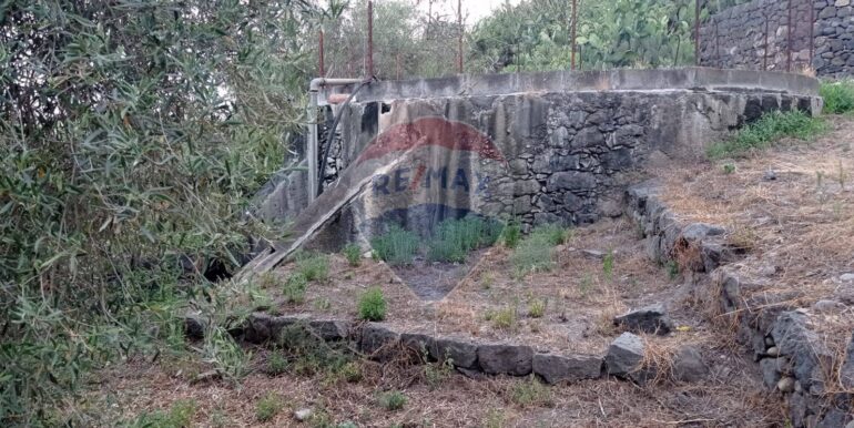 2025020892358-926837-2